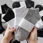 Unisex Low-Cut Ankle Socks | Breathable Cotton Blend Athletic Comfort | Multi-Color Daily Essentials