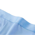 Premium Men’s Ice Silk Seamless Antibacterial Underwear (Pack of 4/5)