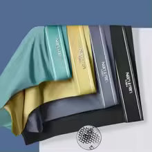 Premium Men’s Ice Silk Seamless Antibacterial Underwear (Pack of 4/5)